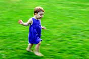 Picasa 