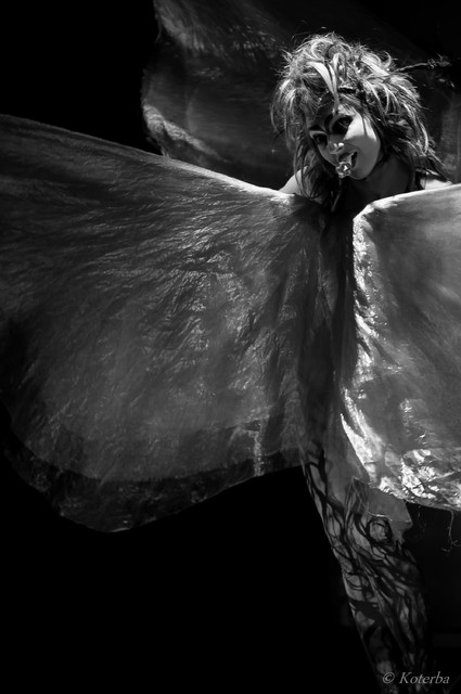 MARCIN KOTERBA #267626