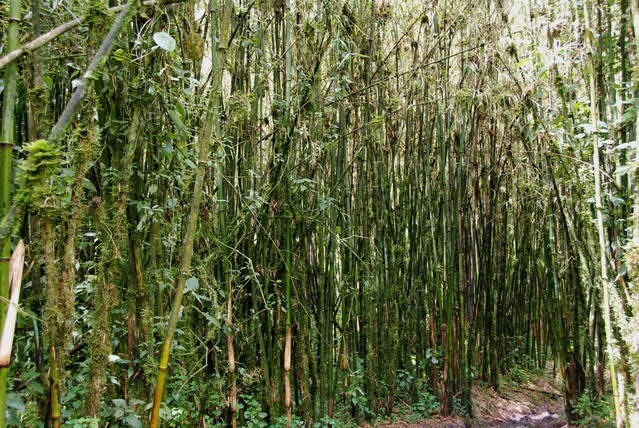 Jacek Pióro #107080