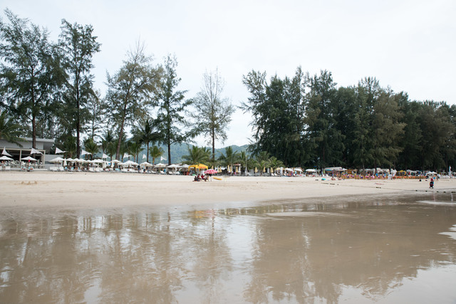 Jacek Pióro #305199