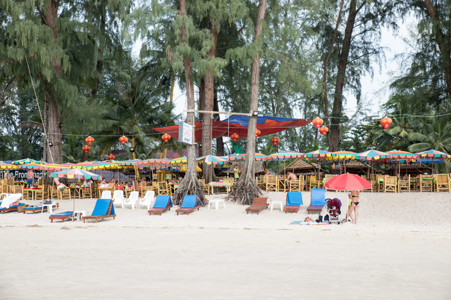 Jacek Pióro #305169