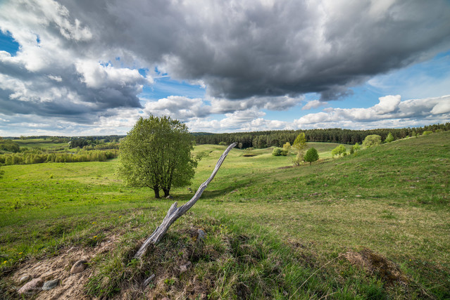 Suwalszczyzna K.Mierzejewski #324892