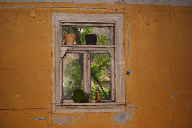 SONY DSC Misiekmaestro #173663