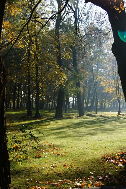 SONY DSC knoxi #173580