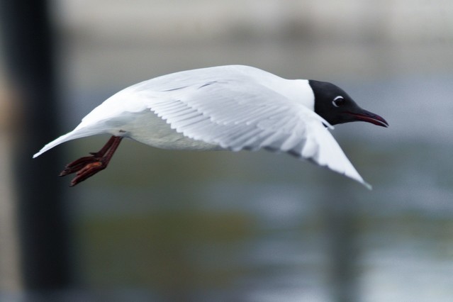 Beauty of The Nature Krzysztof Tollas #315511