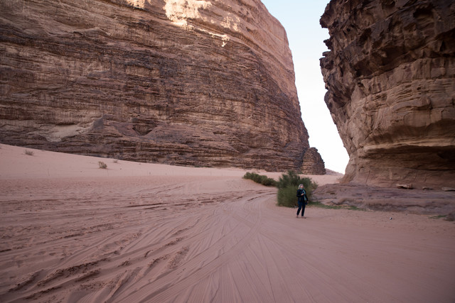 Jacek Pióro #322928