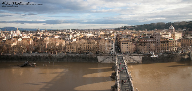 Ela Witkowska©2014 #242002