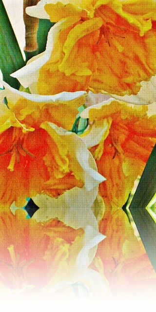 annaadamska12 #198440