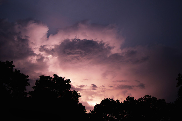 Justyna Hołubowska #166177