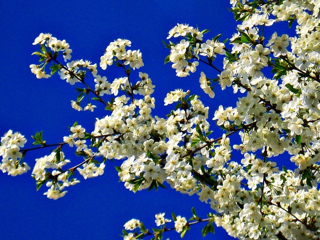 annaadamska12 #198456