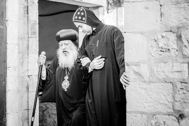 fotodziwaki.pl #278194