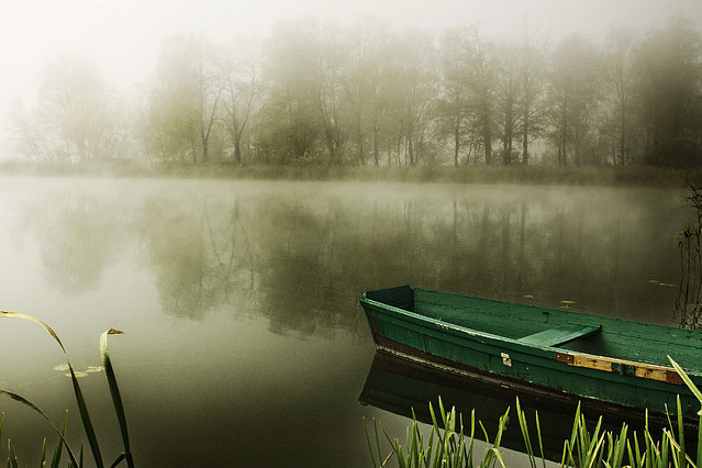 Photographer: Boszko Maciej 