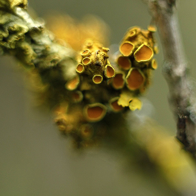 Marta Lipowska #216352