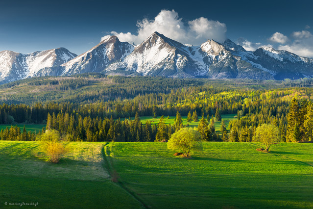 Marcin Rydzewski Wiosna pod Tatrami