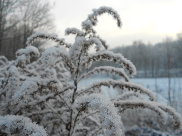 Artur Oziewicz #182810