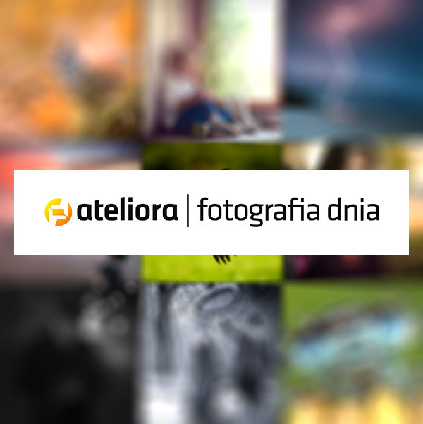 Ateliora #183892