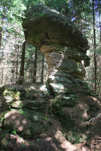 POLANICA ZDRÓJ BATORÓWEK Renata Schmidt #101997