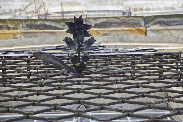 Nieśmiertelnik zabawa z perspektywą MarekCzubaszek #191828