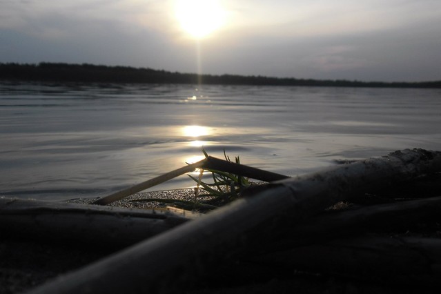 Anna Zalewska #174144