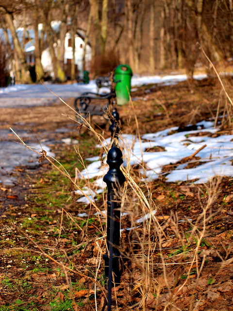 OLYMPUS DIGITAL CAMERA Picasa #198643