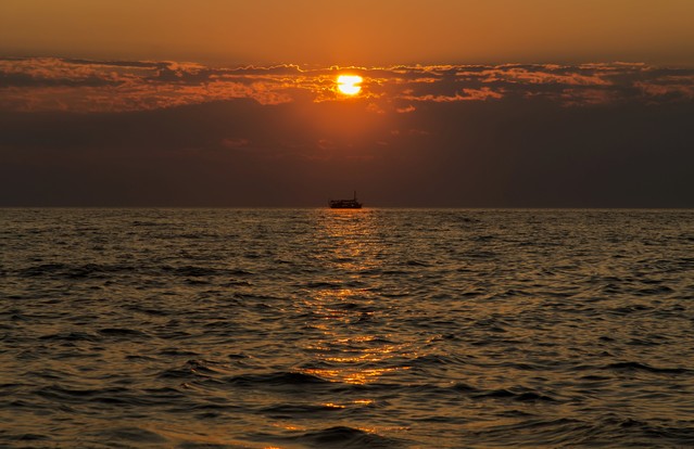 *** Marcin STIEBAL #321453