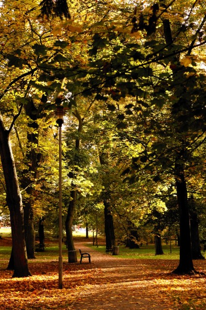 Canon EOS 450D #174624