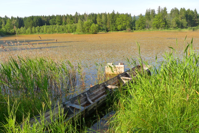 Natalia Cierebiej #215891