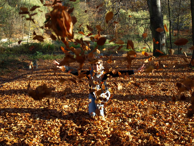 nastas OLYMPUS DIGITAL CAMERA