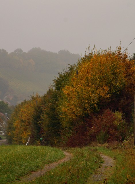 Jarek Jarecki #300040