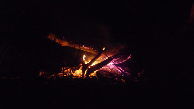 Natalia Cierebiej #176175