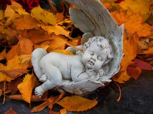 W jesiennym słońcu ... Mery7 #232642