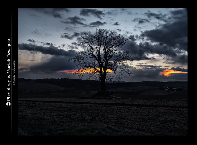 Maciej Dźwigała #202031