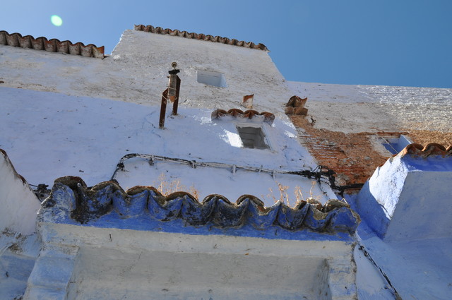 Paulina Ledwożyw #271434