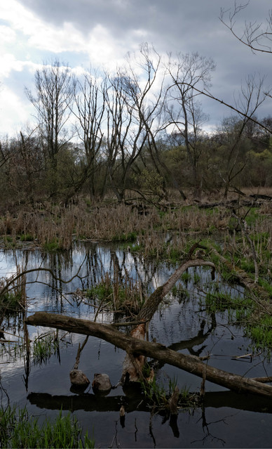 Grzegorz Sulkowski #274271