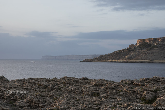 J.Pawel Pelech #300701