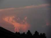 Marta Papuga SAMSUNG DIGITAL CAMERA