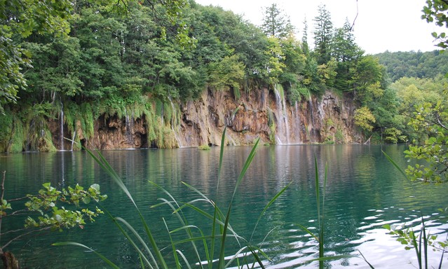 Janusz Mojżesz #269928