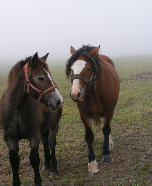 Zdzisław Zalewski #192640