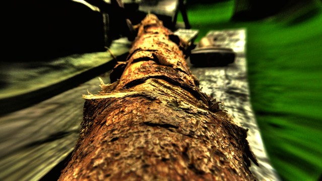 Natalia Cierebiej #176146