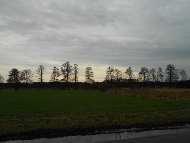 Artur Oziewicz #188234