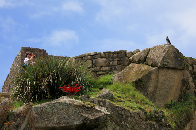 Machu Picchu. Peru. Machu Picchu. Peru. Piotr Schmidt #106399