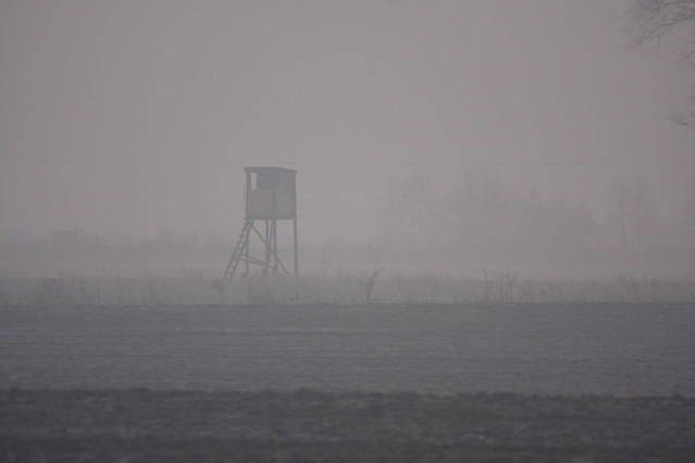 Tomasz Pisulla #290419