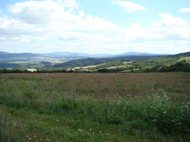 karlusia #207542