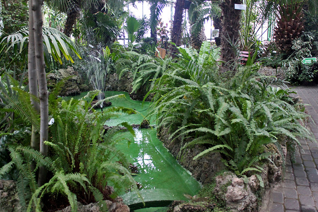 Włodzimierz Jędrzejczak #190707