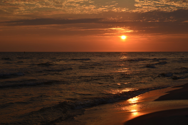 Dariusz WojtaIa* #318006