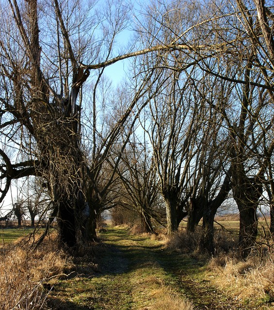 SONY DSC Unknown #302816