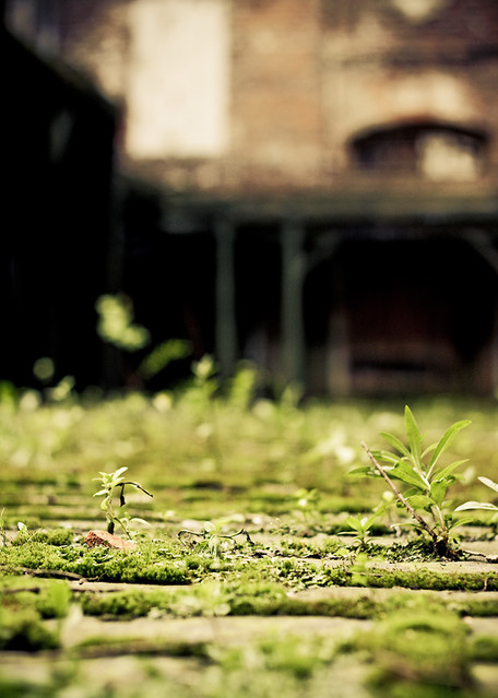 Bartosz Mrozowski #112959