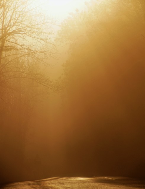 Jarek Jarecki #299210