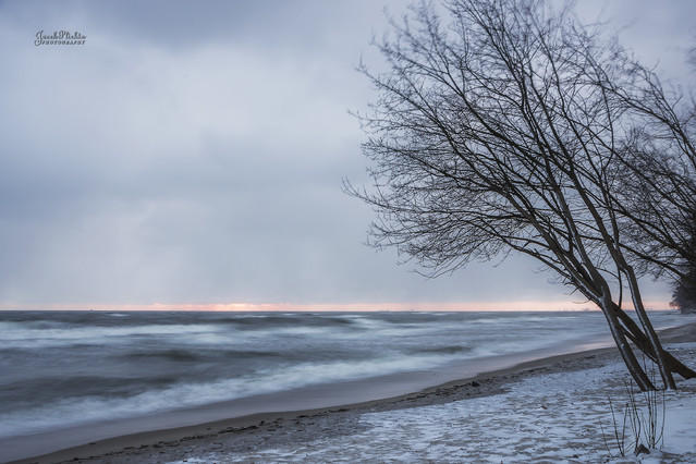 JACEK_PLICHTA #314394