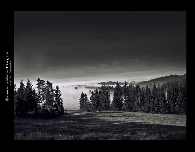 Maciej Dźwigała #202555